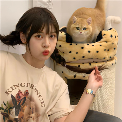 山南伴游女生星晓莉的资料